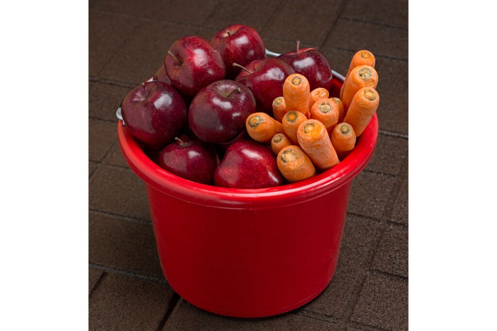 apples and carrots in a red bucket