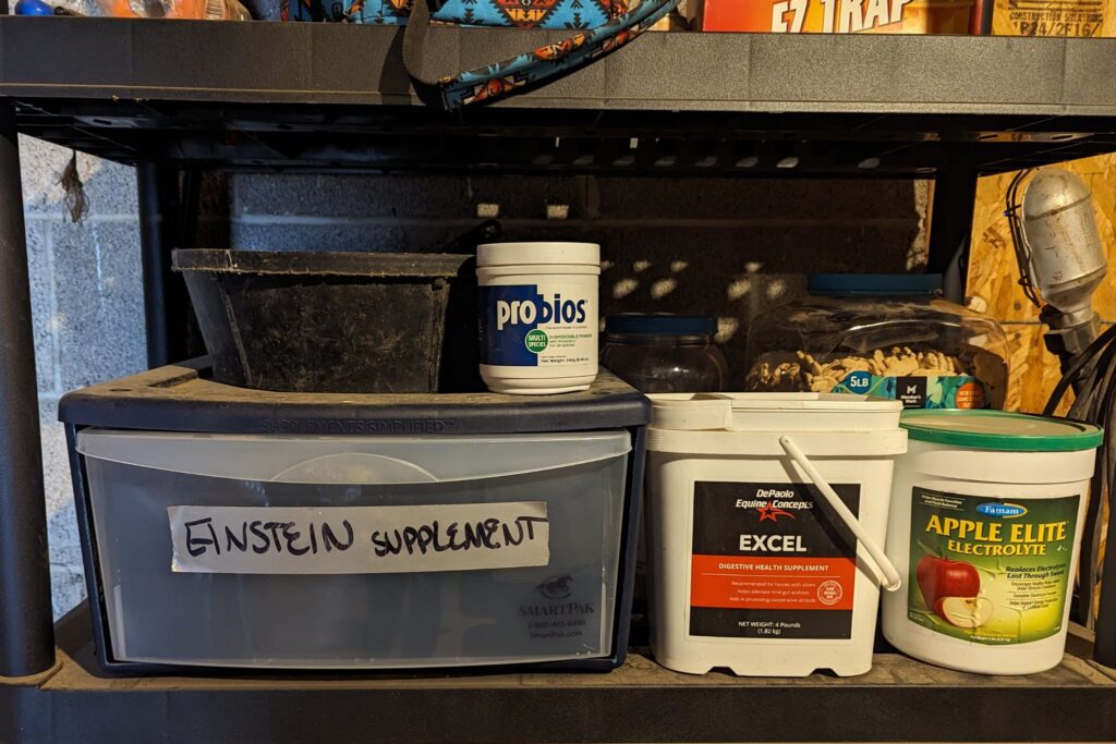 feed supplement shelf in tack room