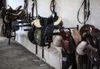 saddles in tack room