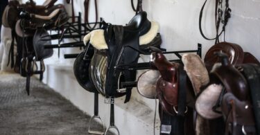 saddles in tack room