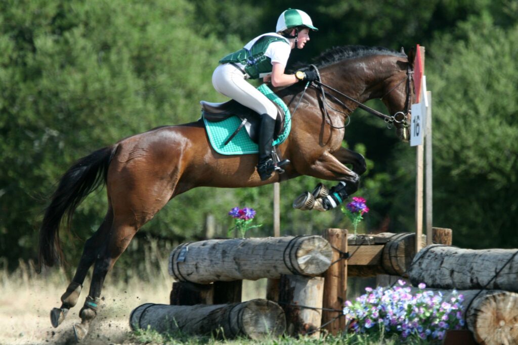 eventing horse and rider over log
