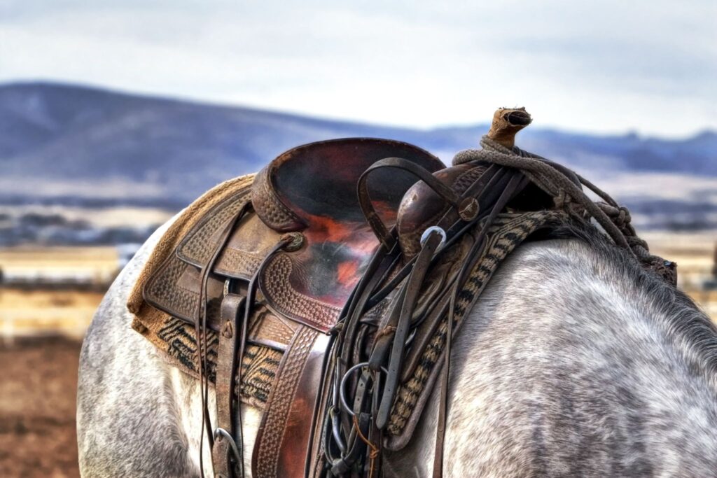 ranch saddle on horse with mountains in background