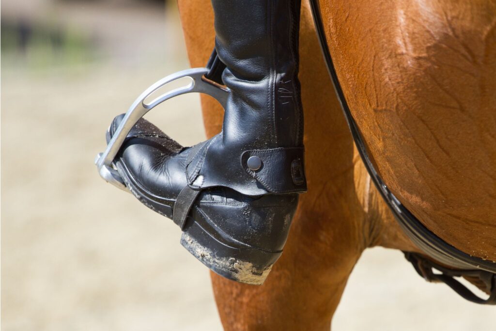 paddock boot with half chaps