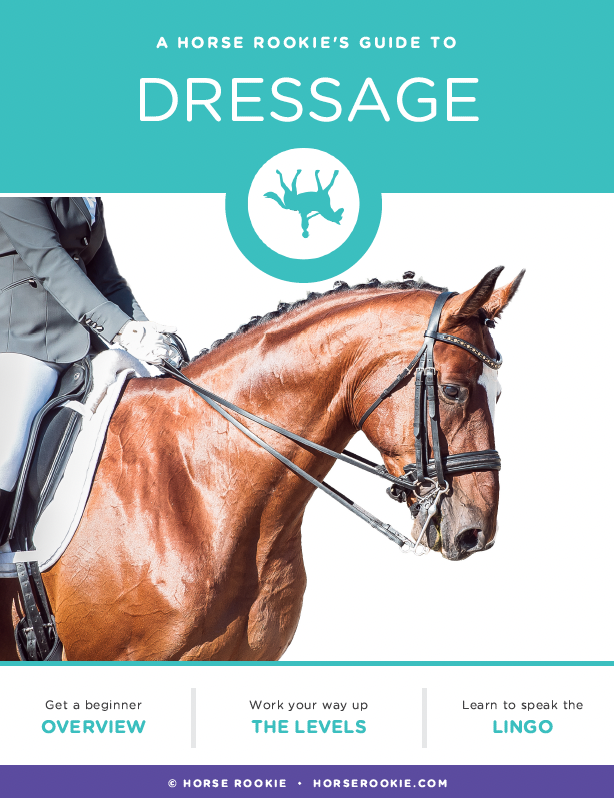 A Horse Rookie's Guide to Dressage