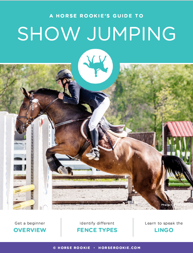 A Horse Rookie Guide's to Show Jumping