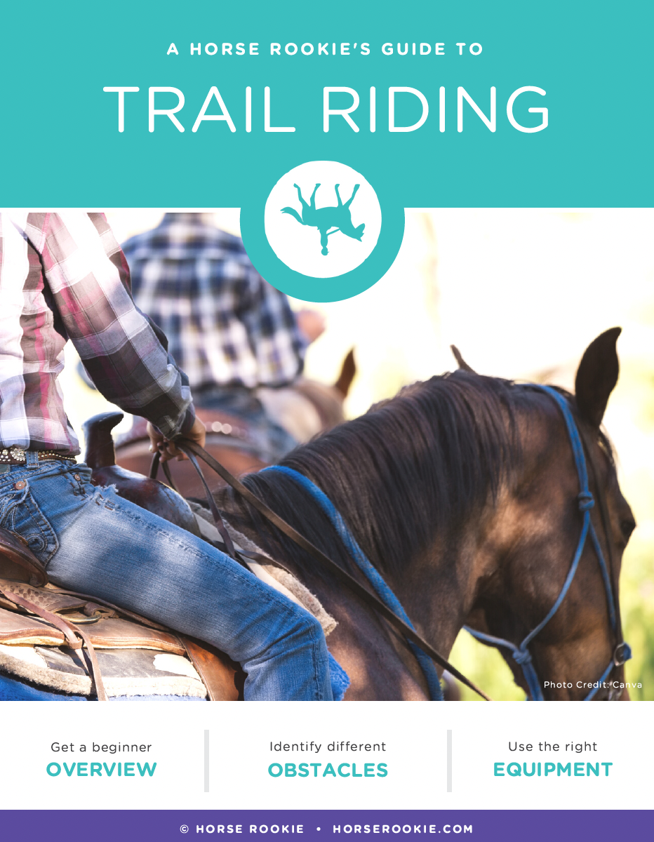 A Horse Rookie's Guide to Trail Riding