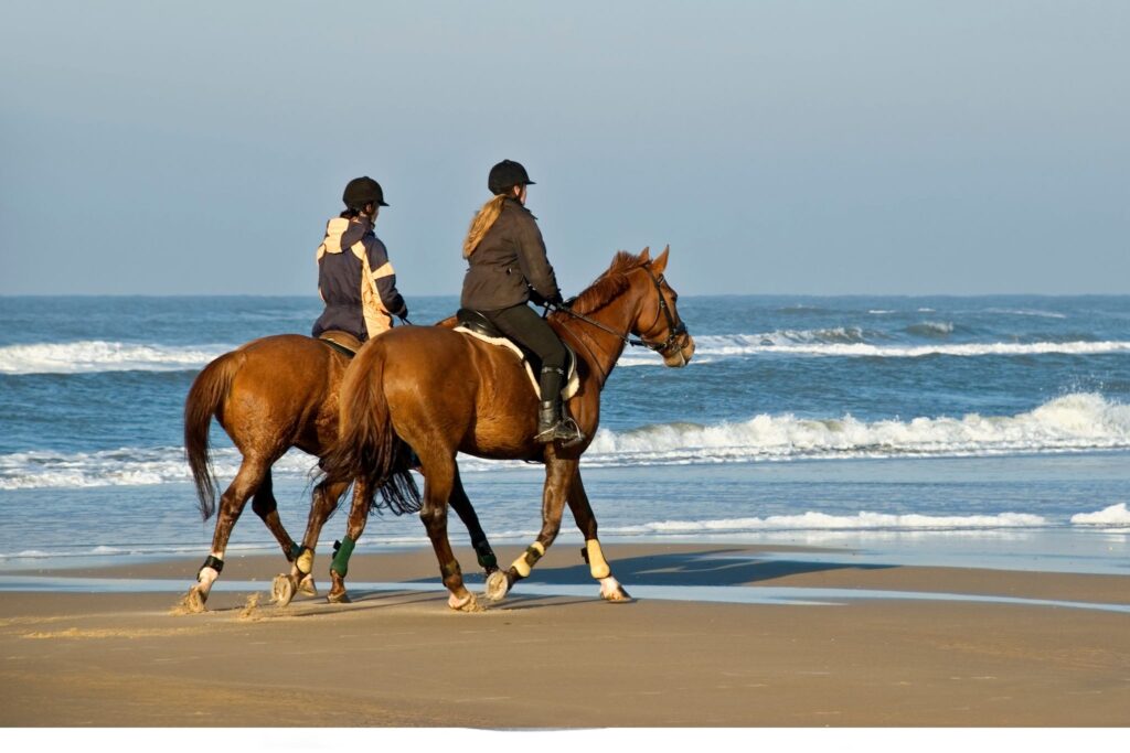 two people riding horses on the beach