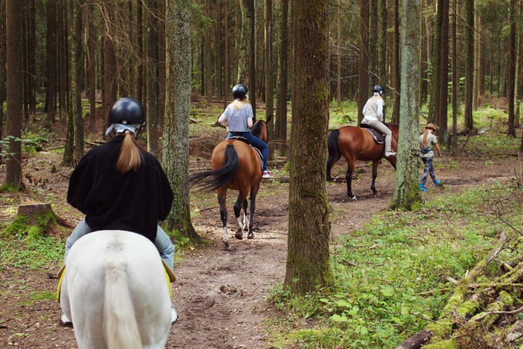 group trail riding through the woods