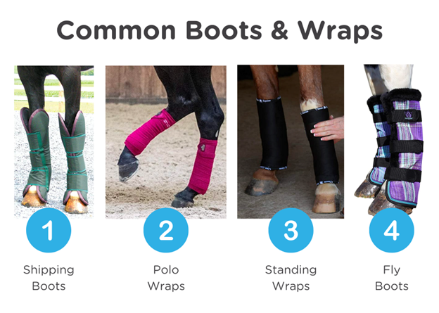 four types of horse leg protection infographic by horse rookie