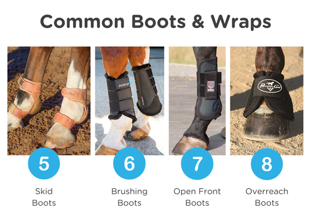 infographic on common types of horse boots by HorseRookie