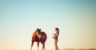 woman and horse in field