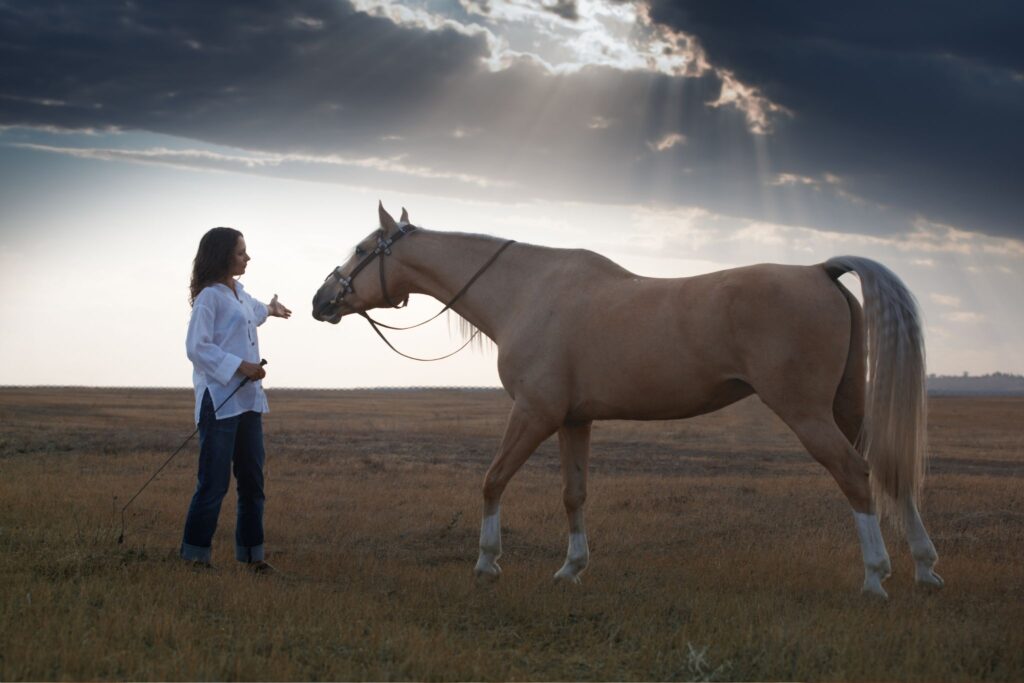 woman and palomino horse in field with dramatic lighting