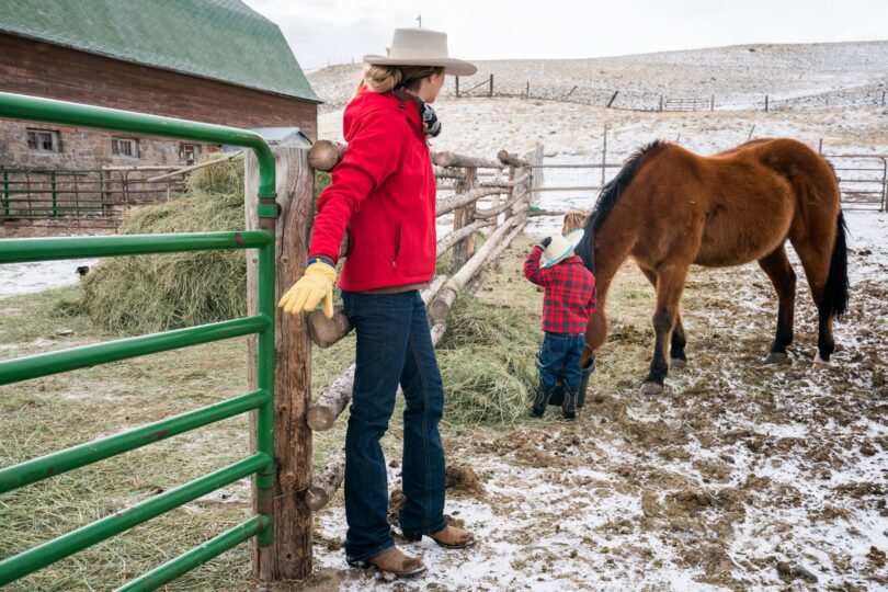 woman and child feeding horse in winter