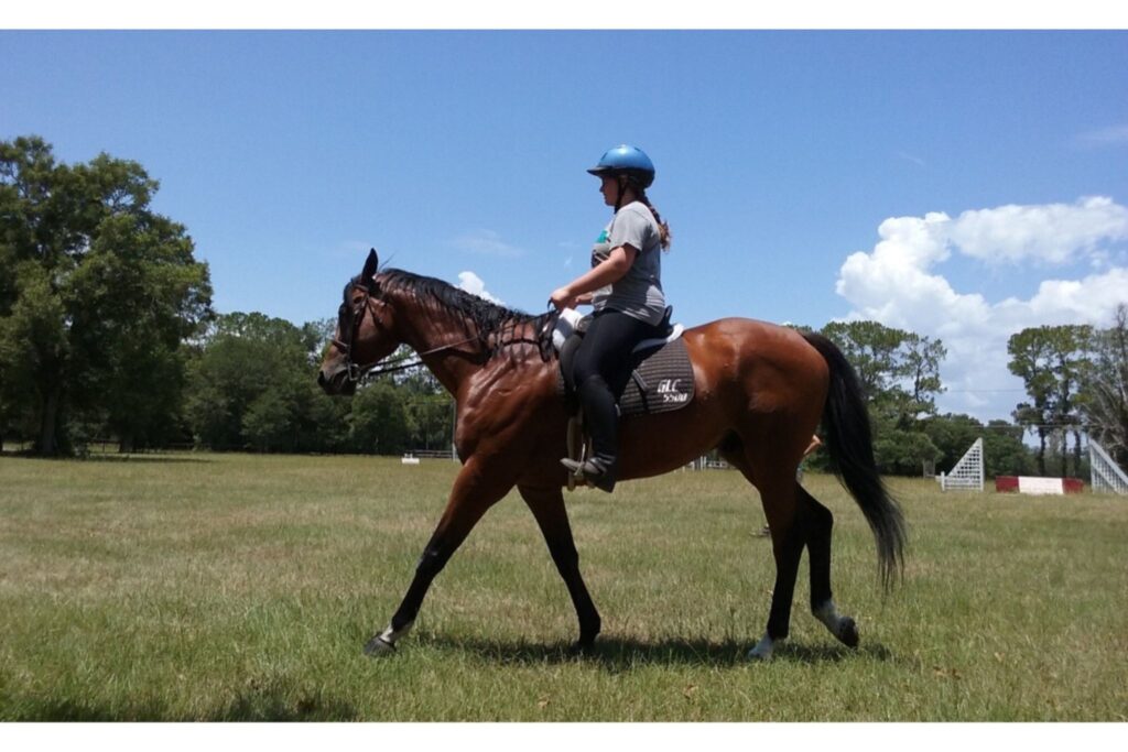 girl riding bay horse in wintec saddle