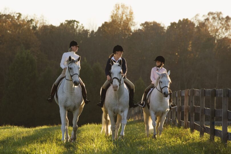 three people riding gray horses in pasture