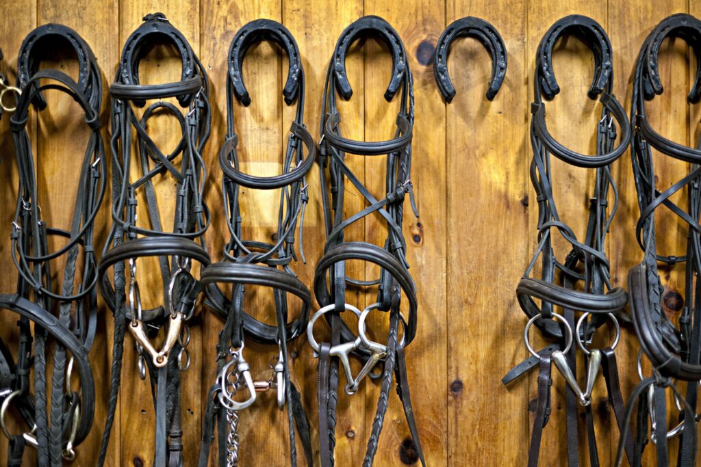 bridles hanging in tack room