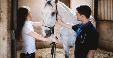 vet and owner with gray horse in stall
