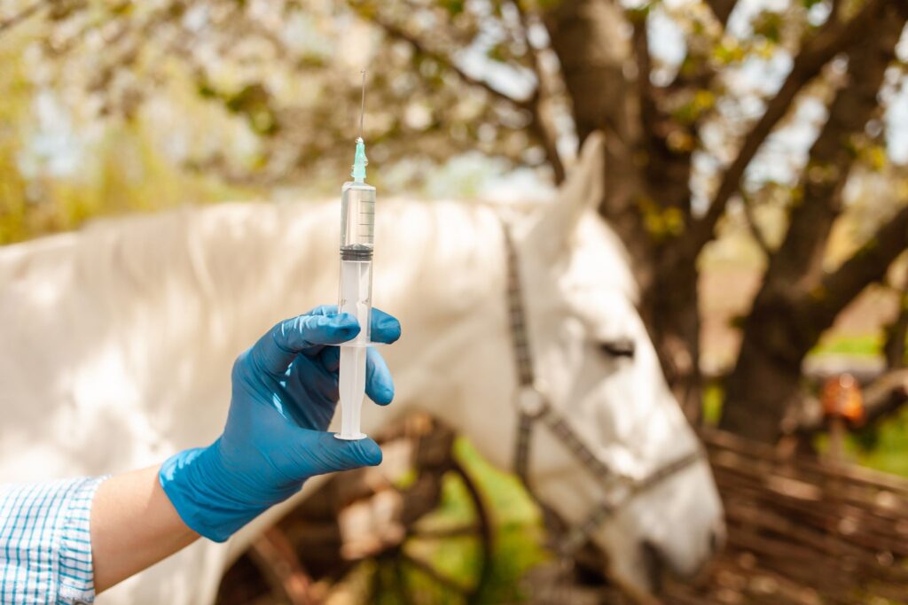 gloved hand holding syringe with horse in background