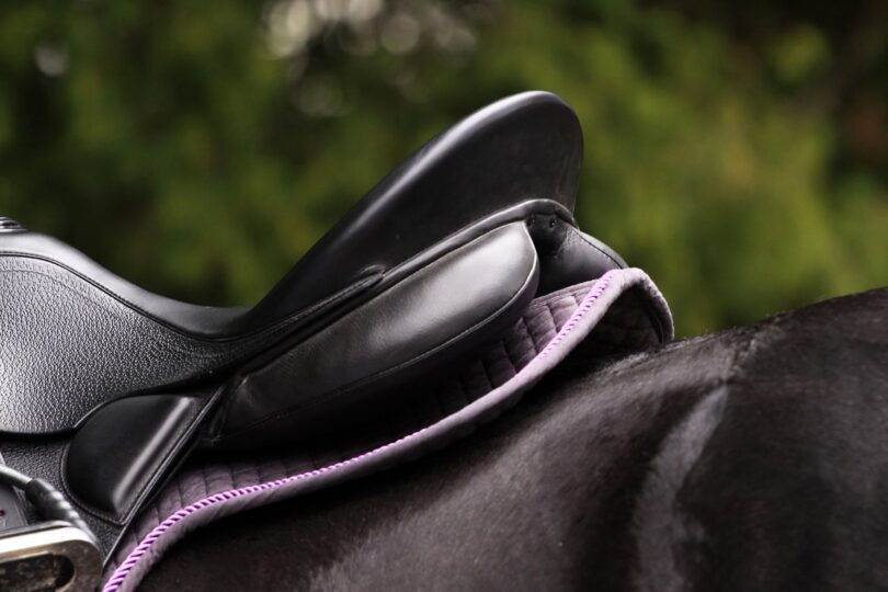 black saddle on horse