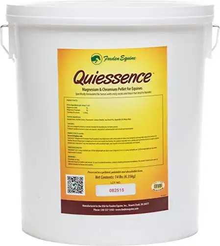 Quiessence (Large-14 lbs)