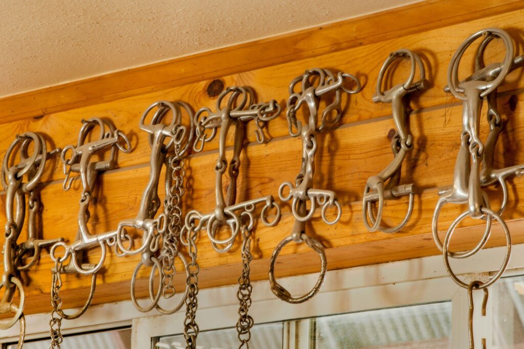 bits hanging on a wall in tack room
