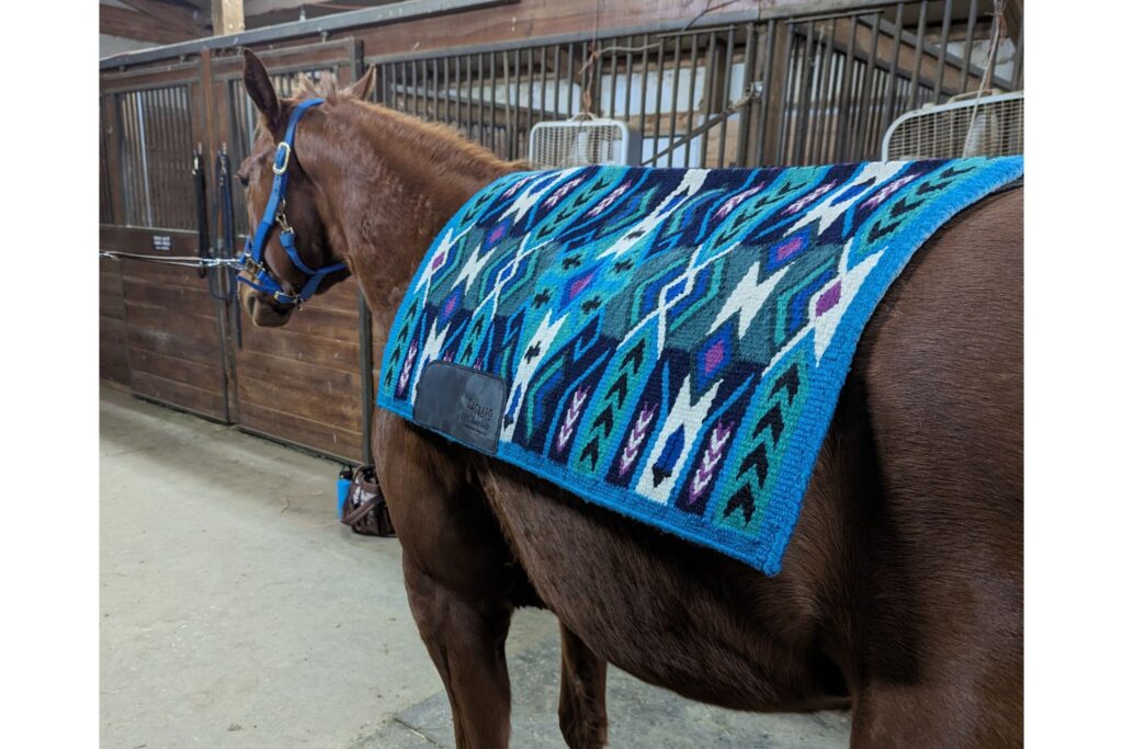 ranch saddle pad on sorrel horse