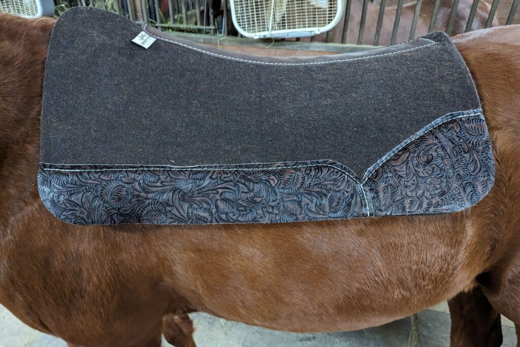 best ever custom saddle pad on horse