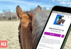 virtual horseback riding lessons