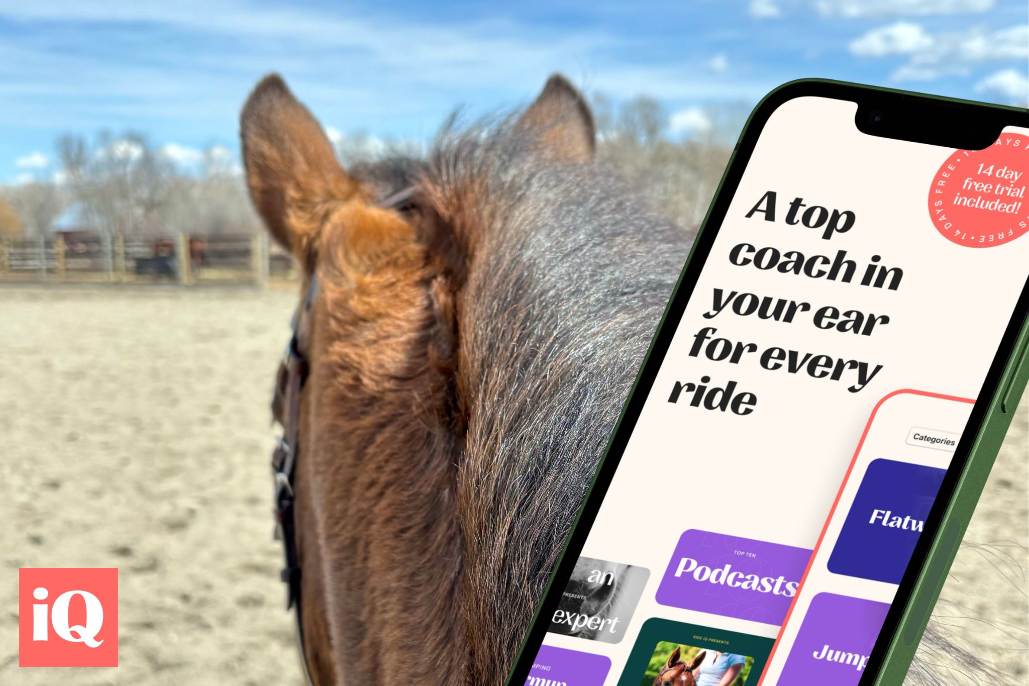 How to Get the Most Out of Virtual Horse Riding Lessons - Horse Rookie