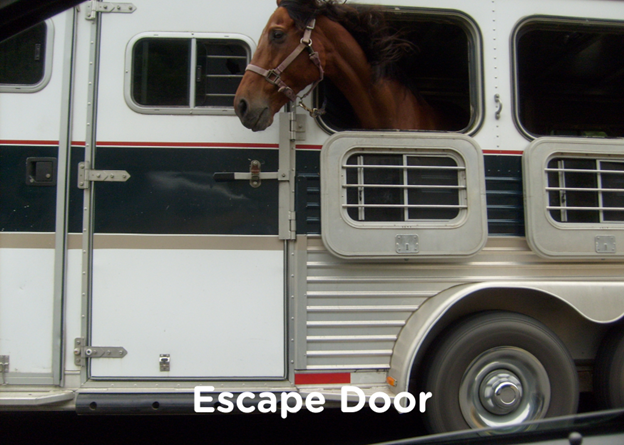 horse trailer with escape door