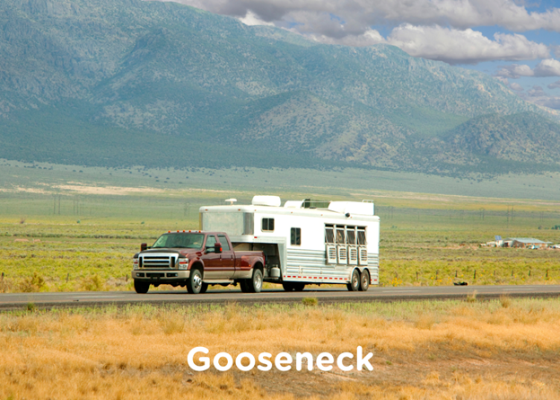 gooseneck horse trailer