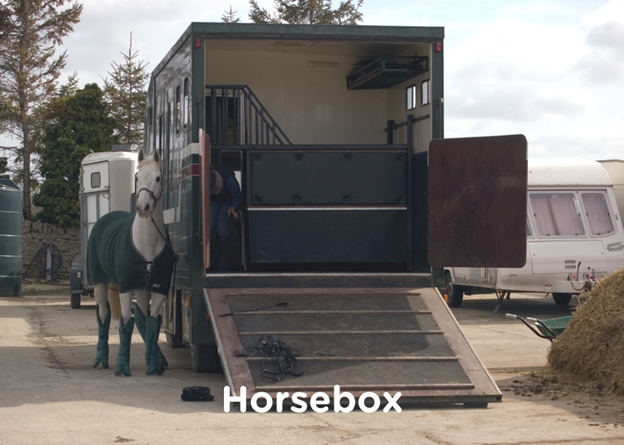 horsebox trailer