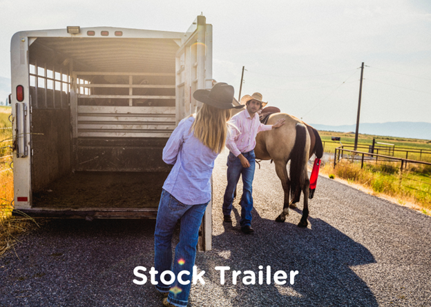 stock horse trailer