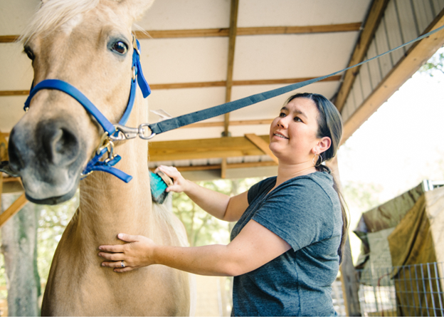 woman grooming horse