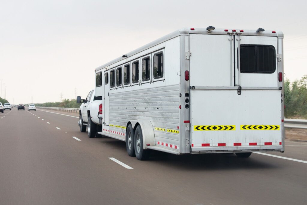 truck and horse trailer on road