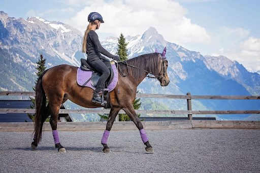 rider in arena with mountain backdrop