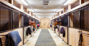 neat and clean barn aisle