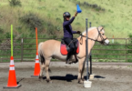 woman riding norwegian fjord horse with cone