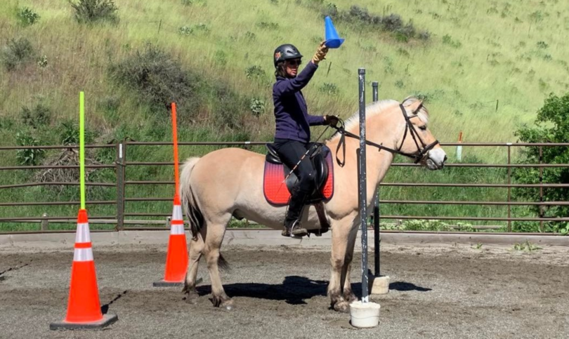 woman riding norwegian fjord horse with cone