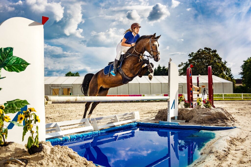 horse jumping liverpool 