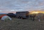 two donkeys in a corral next to tents at sunset