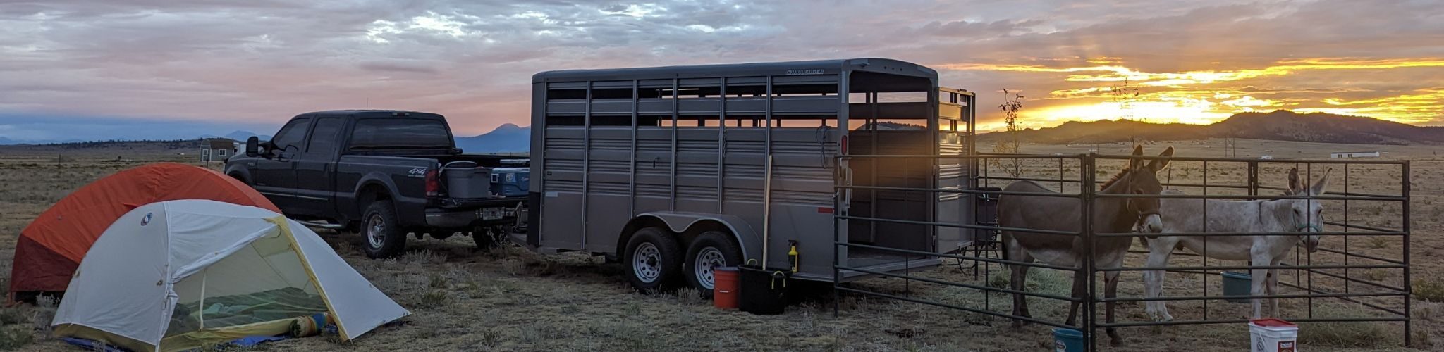 two donkeys in a corral next to tents at sunset