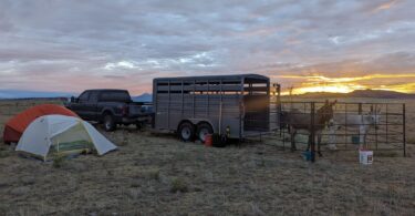 two donkeys in a corral next to tents at sunset