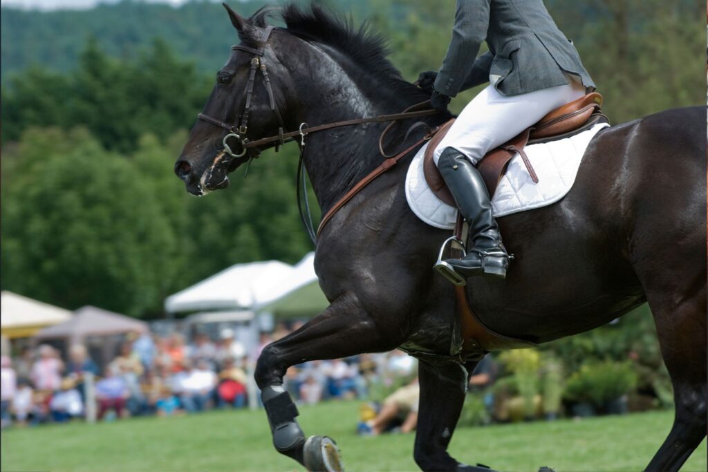 black horse galloping
