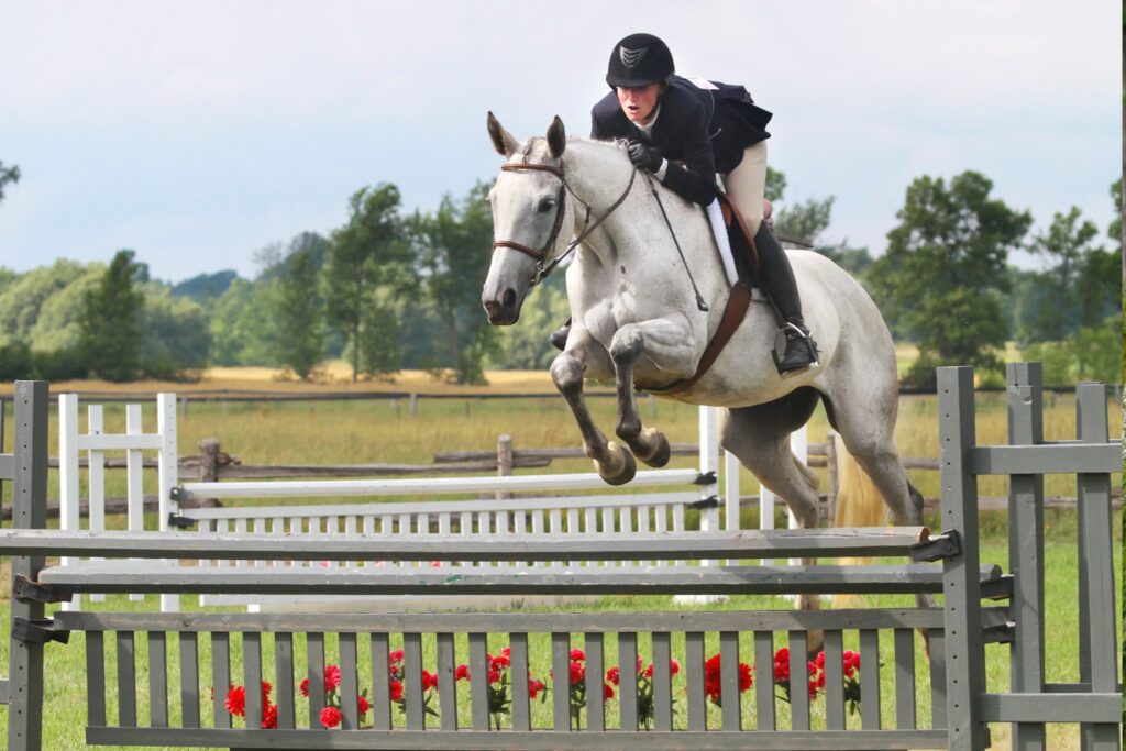gray horse jumping fence with flowers
