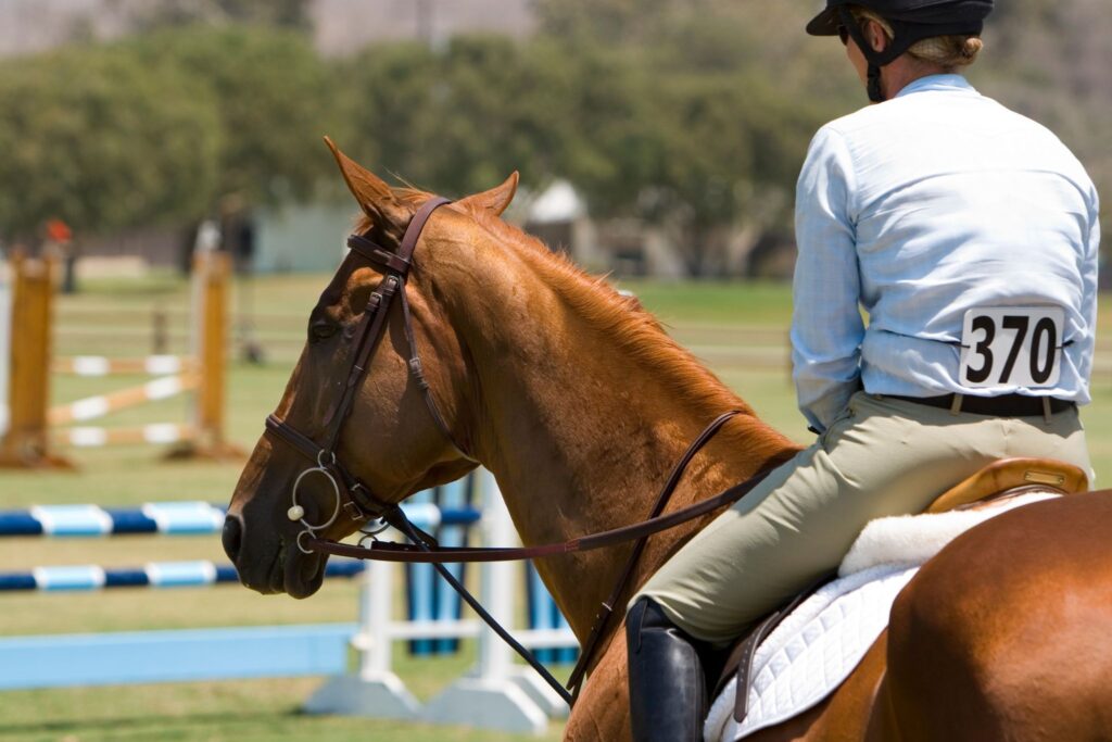 horse and rider waiting for class 