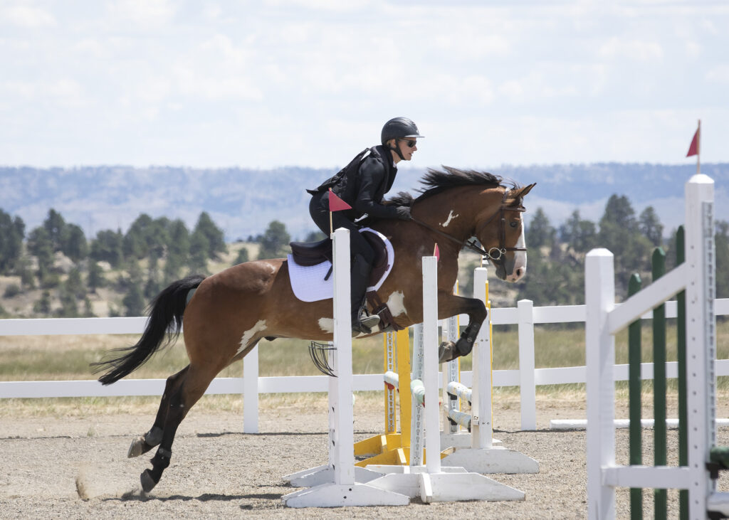 jumping horse