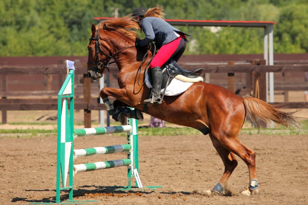 horse and rider jumping green and white fence
