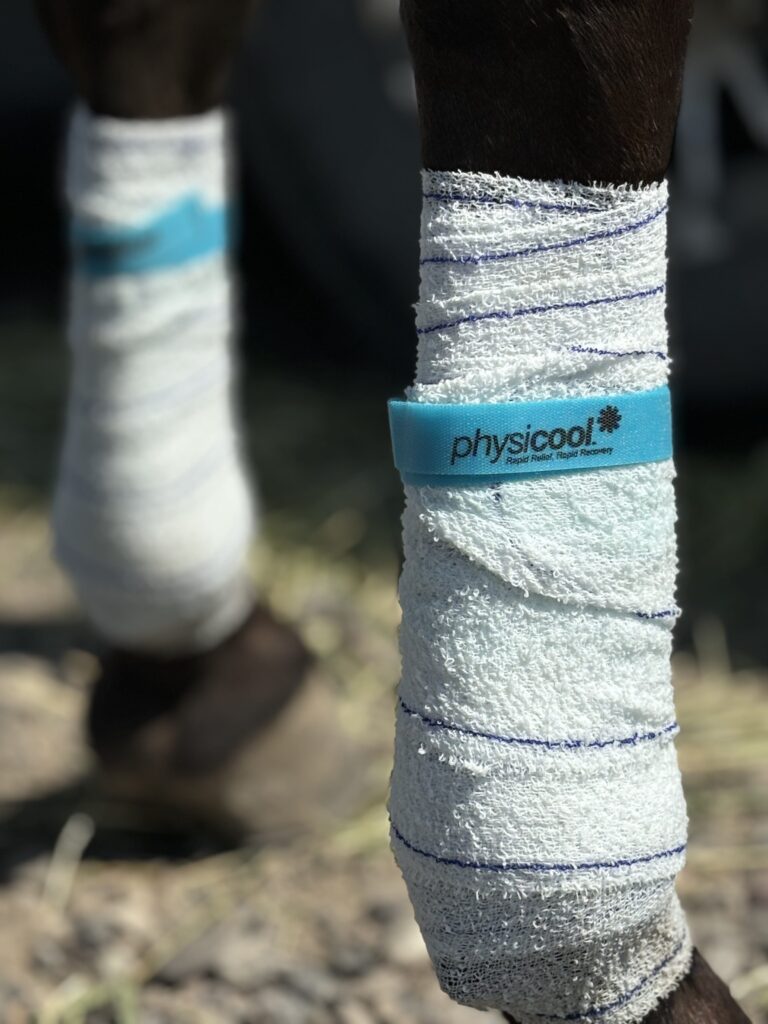 secure strap