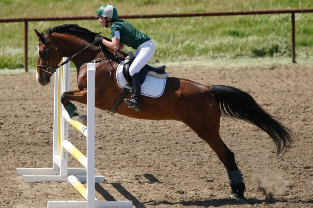 horse and rider jump white and yellow fence